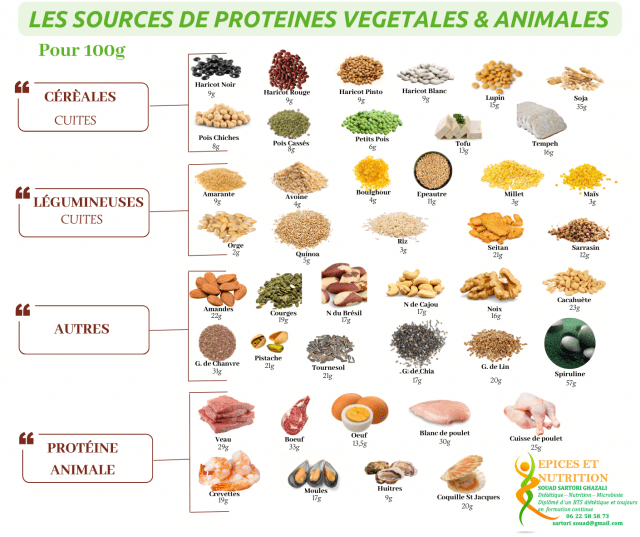 protéine animale et végétale